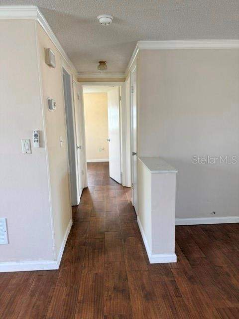 7323 Oak Crest Drive, Port Richey FL - photo 14 of 31