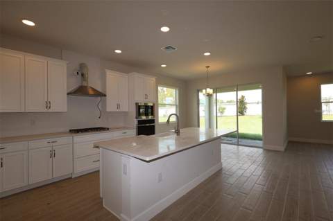 3174 Wolf Lake Avenue, Apopka FL - photo 6 of 6