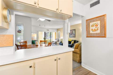 1290 Pine Ridge Circle #E1, Tarpon Springs FL - photo 8 of 32