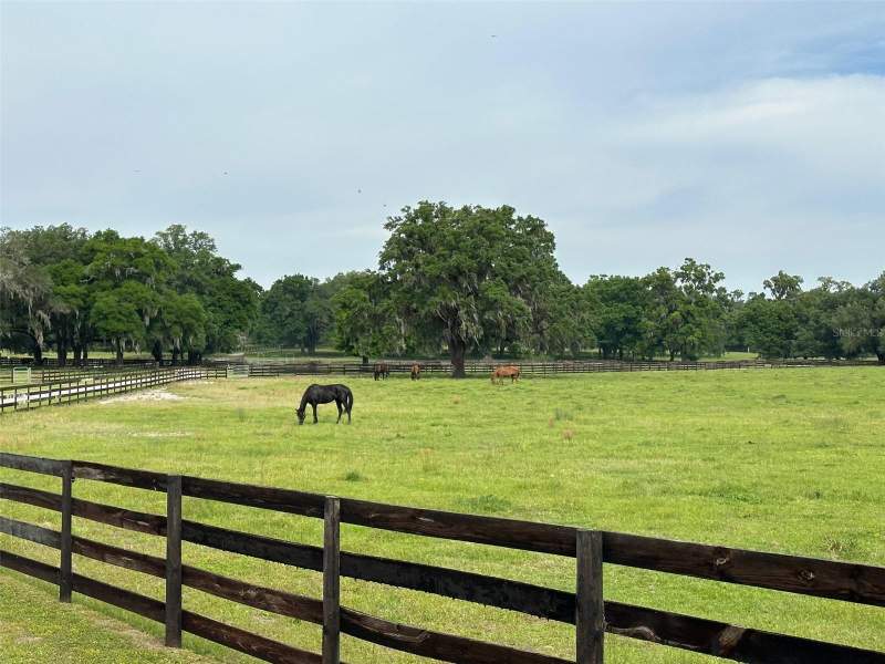 4 bedroom Farm at 4101 NW 89th Place, Ocala, Ocala — photo 2