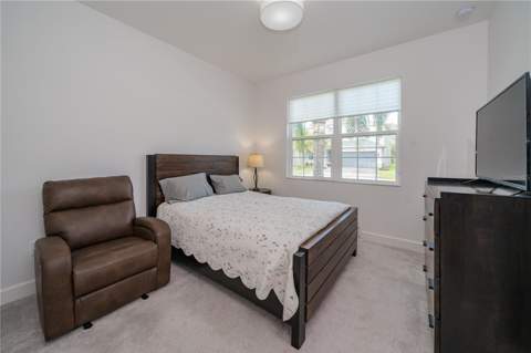 3290 Great Banyan Way, Wesley Chapel FL - photo 11 of 51