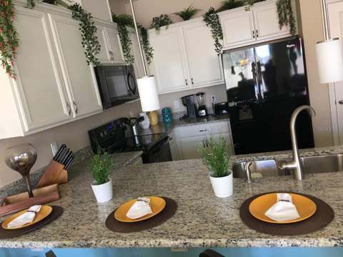 5148 Adelaide Drive, Kissimmee FL - photo 6 of 21