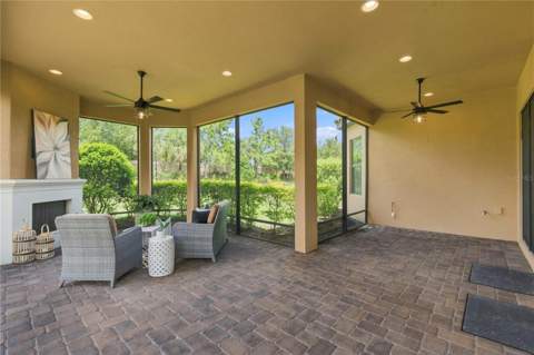 11301 Juglans Drive, Odessa FL - photo 6 of 6