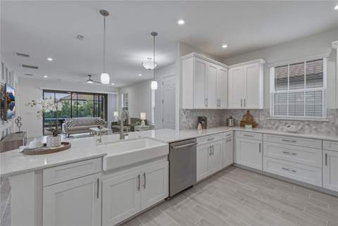 4248 Cairoli Court, Wesley Chapel FL - photo 15 of 98