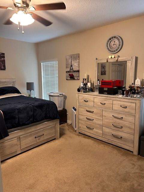 418 Blue Lake Circle, Kissimmee FL - photo 8 of 15