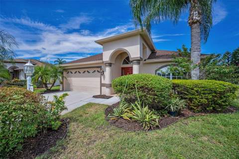 12021 Fern Terrace Court, Trinity FL - photo 6 of 6