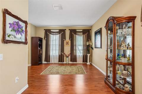4236 Tarkington Drive, Land O Lakes FL - photo 16 of 39