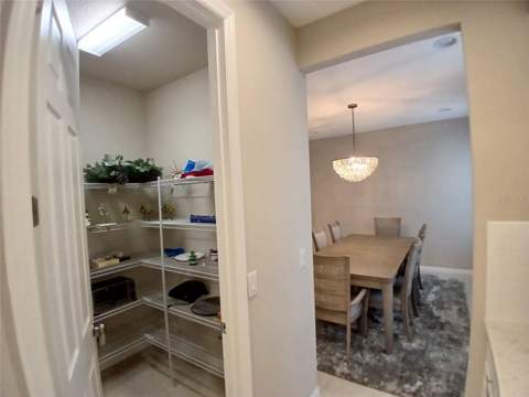 29900 Walsh Oak Drive, Wesley Chapel FL - photo 16 of 87
