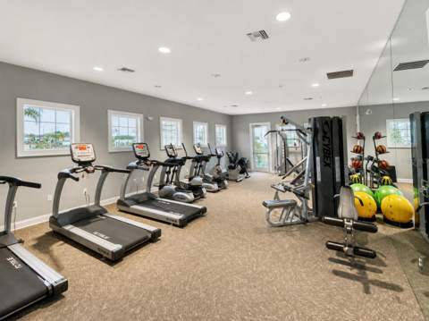 3836 Cat Mint Street, Tampa FL - photo 7 of 9