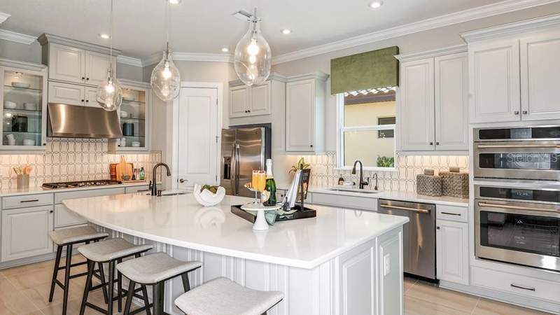 3 bedroom Single Family Residence at 29668 Imperati Boulevard, Esplanade At Wiregrass Ranch, Wesley Chapel — photo 4