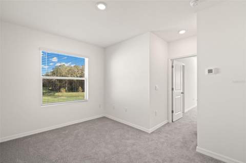 1393 Colt Creek Place, Wesley Chapel FL - photo 20 of 24