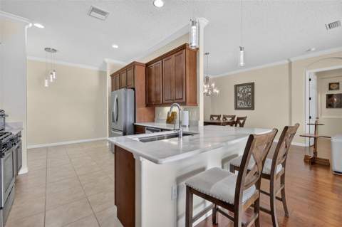 8716 Bridgeport Bay Circle, Mount Dora FL - photo 11 of 44