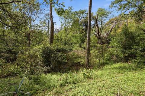 18708 NW 242nd Street, High Springs FL - photo 8 of 41