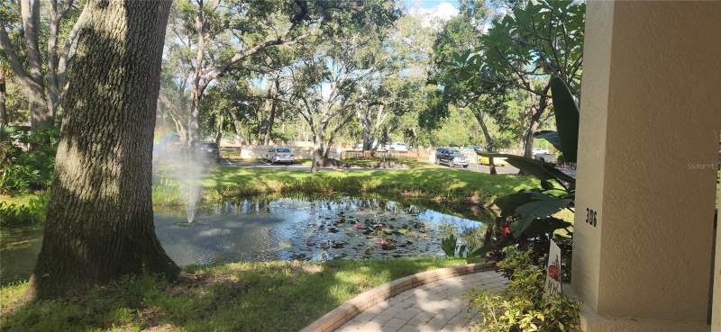 3 bedroom Condominium at 304 Los Prados #304, Los Prados Condo, Safety Harbor — photo 2