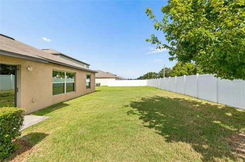 3706 Cat Mint Street, Tampa FL - photo 24 of 25