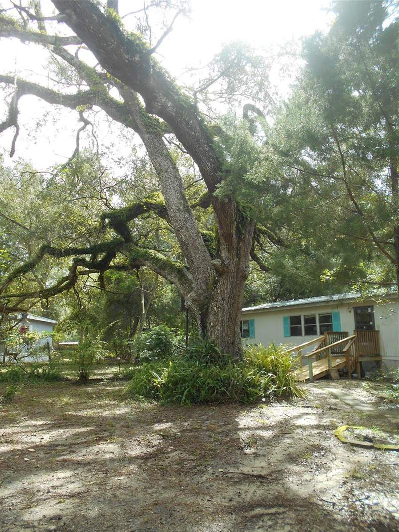 3 bedroom Manufactured Home at 20425 NE 143rd Street, Frst Hills Campsites, Salt Springs — photo 2