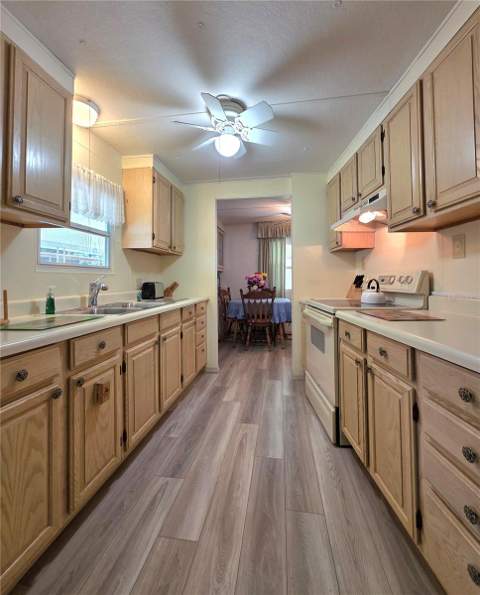 37015 Karen Avenue, Zephyrhills FL - photo 8 of 60