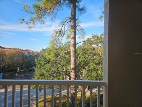 1216 S Missouri Avenue #202, Clearwater FL - photo 21 of 27