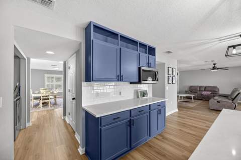 13531 Mango Bay Drive, Riverview FL - photo 7 of 57