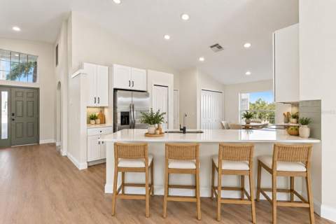17413 Cricket Chirp Loop, Land O Lakes FL - photo 8 of 44