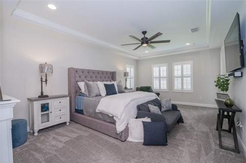 8687 Birchleaf Court, Land O Lakes FL - photo 17 of 78