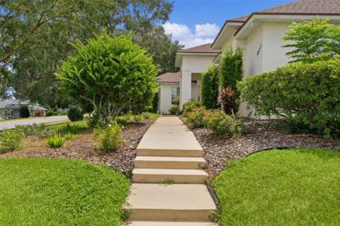 39407 Treeline Drive, Lady Lake FL - photo 6 of 84