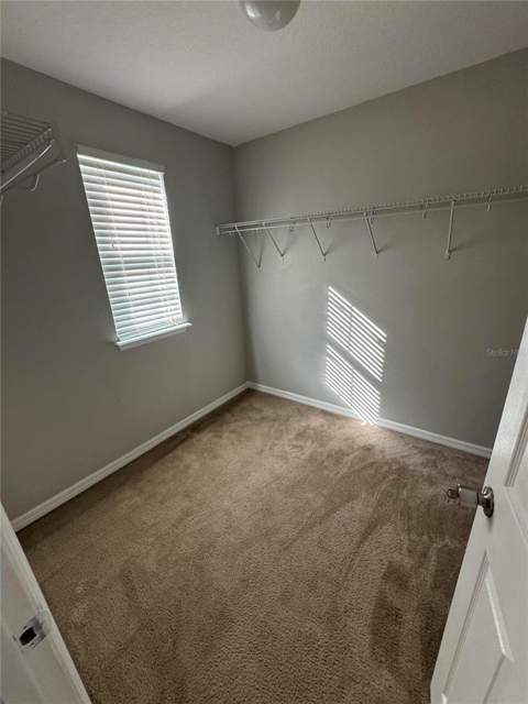 11938 Silverlake Park Drive, Windermere FL - photo 16 of 45