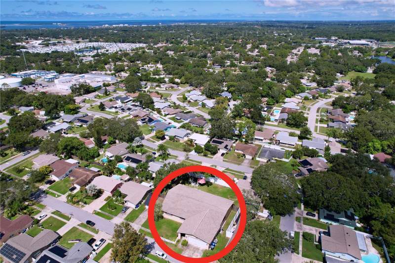 3 bedroom Single Family Residence at 1622 Dale Circle, Amberlea, Dunedin — photo 3