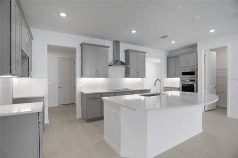 17584 Valleywood Parkway, Land O Lakes FL - photo 8 of 41