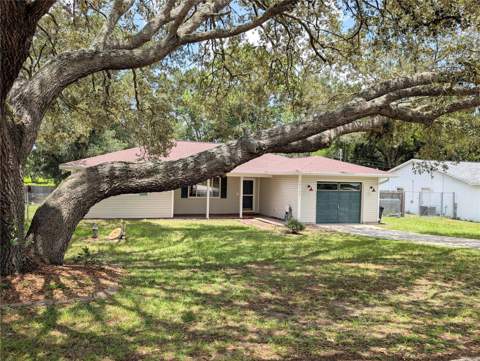 20167 SW 81st Street, Dunnellon FL - photo 7 of 75