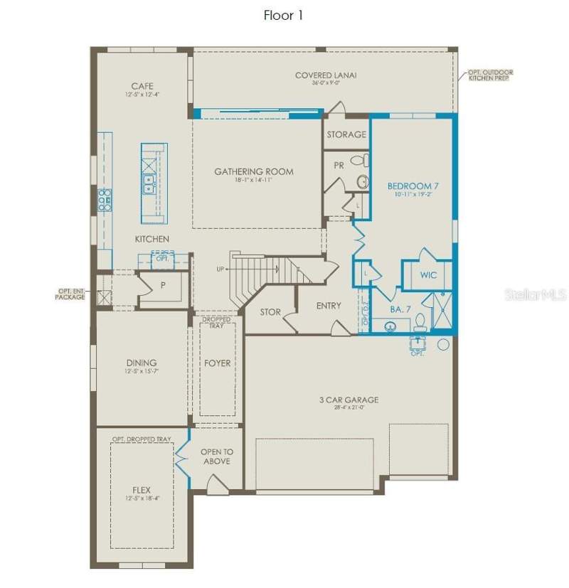5 bedroom Single Family Residence at 234 Woodfall Lane, Winter Grove, Winter Garden — photo 2