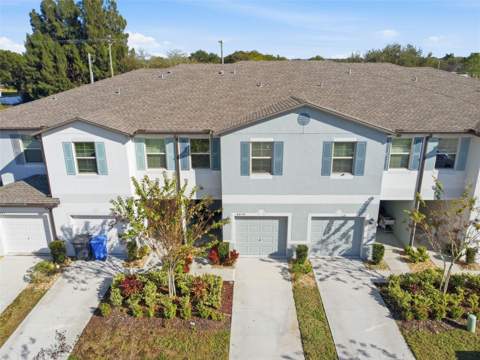 4459 Globe Thistle Drive, Tampa FL - photo 16 of 56