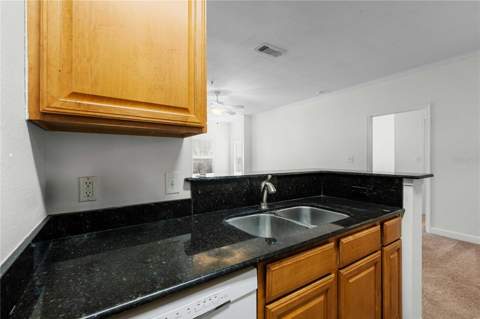 18525 Bridle Club Drive #18525, Tampa FL - photo 15 of 38