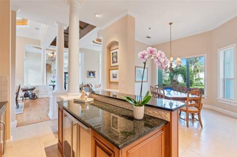 30215 Redtree Drive, Leesburg FL - photo 15 of 63