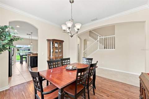 12335 Ballentrae Forest Drive, Riverview FL - photo 23 of 64