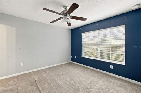 37640 Aaralyn Road, Zephyrhills FL - photo 23 of 29