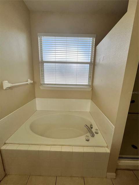 919 Magnolia Blossom Court, Apopka FL - photo 12 of 22