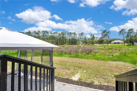 42111 Chinaberry Court, Eustis FL - photo 24 of 28