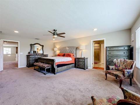 4923 Eagle Rock Drive, Wimauma FL - photo 22 of 44