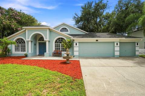 9115 Brindlewood Drive, Odessa FL - photo 6 of 6