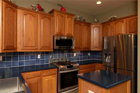 3746 Dogtrot Street, New Port Richey FL - photo 8 of 50