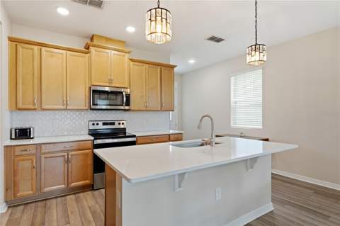 2673 Spider Lily Court, Clermont FL - photo 14 of 48
