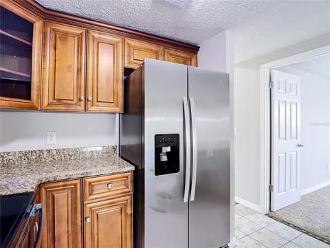 6701 Village Grove Court, Tampa FL - photo 14 of 39