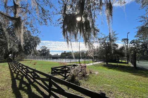 2166 Town Pasture Drive, Eustis FL - photo 12 of 12