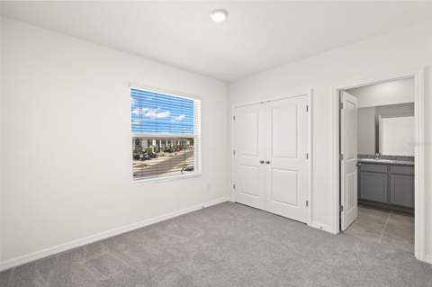 1393 Colt Creek Place, Wesley Chapel FL - photo 19 of 24