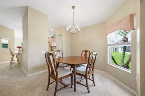5600 Sir Barton Court, Wesley Chapel FL - photo 20 of 55