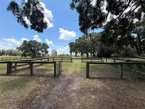 7119 SW 80th Avenue, Ocala FL - photo 19 of 59