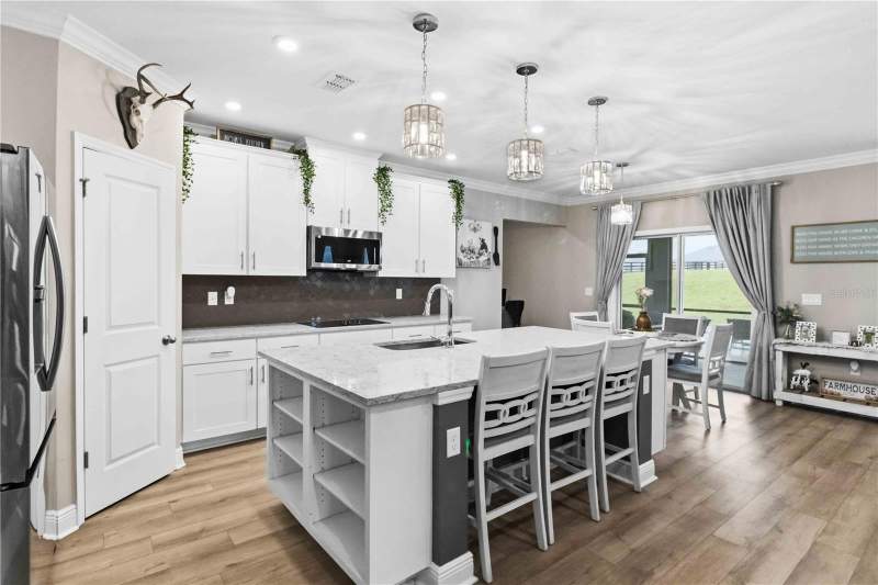 5 bedroom Single Family Residence at 10007 Dolphin Gull Circle, Heritage Estates, Thonotosassa — photo 4