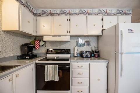 5302 Powhattan Street, Zephyrhills FL - photo 6 of 50