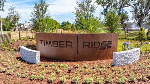 3416 Lumber Falls Drive, Plant City FL - photo 15 of 18